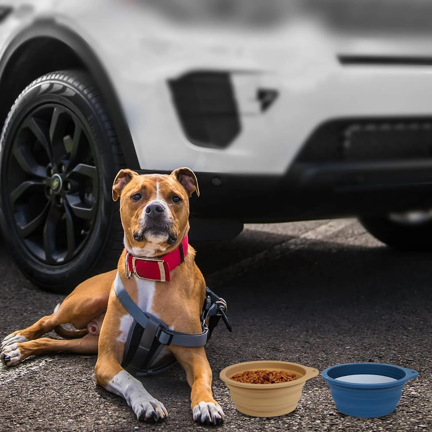 2Pack Collapsible Dog Bowl,Integrated Molding Travel Bowl No Plastic Rim Pet Feeding Bowls for Walking Traveling Outdoors,600Ml (Navy Blue Khaki)
