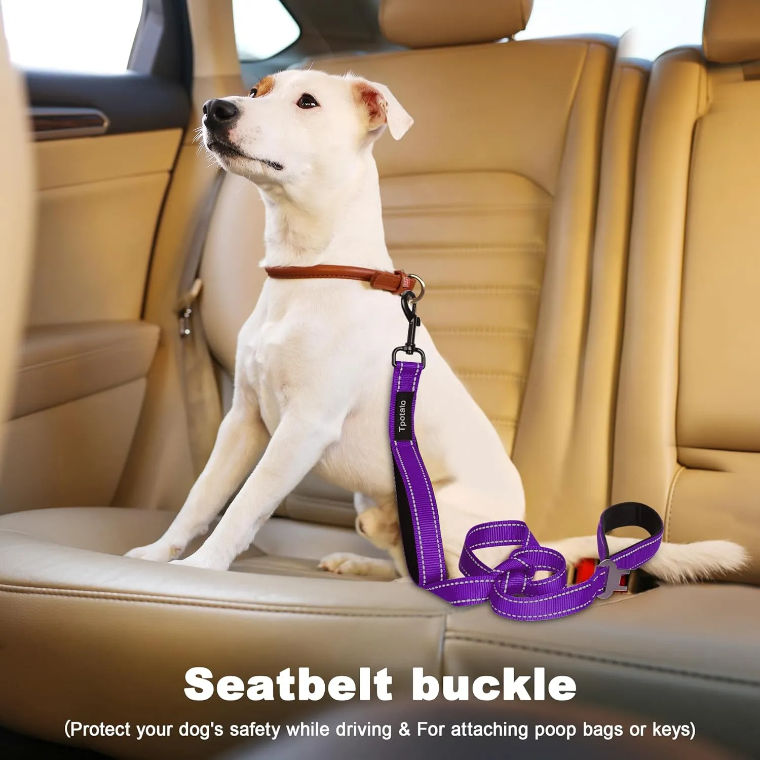 6 Foot Purple Dog Leashes for Large Medium and Small Breed Dogs That Pull,Reflective Nylon Heavy Duty Dog Leash with 2 Comfortable Padded Traffic Handles and Car Seat Belt for Walking and Training