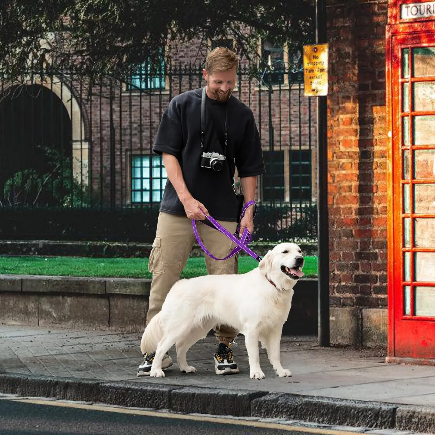 6 Foot Purple Dog Leashes for Large Medium and Small Breed Dogs That Pull,Reflective Nylon Heavy Duty Dog Leash with 2 Comfortable Padded Traffic Handles and Car Seat Belt for Walking and Training