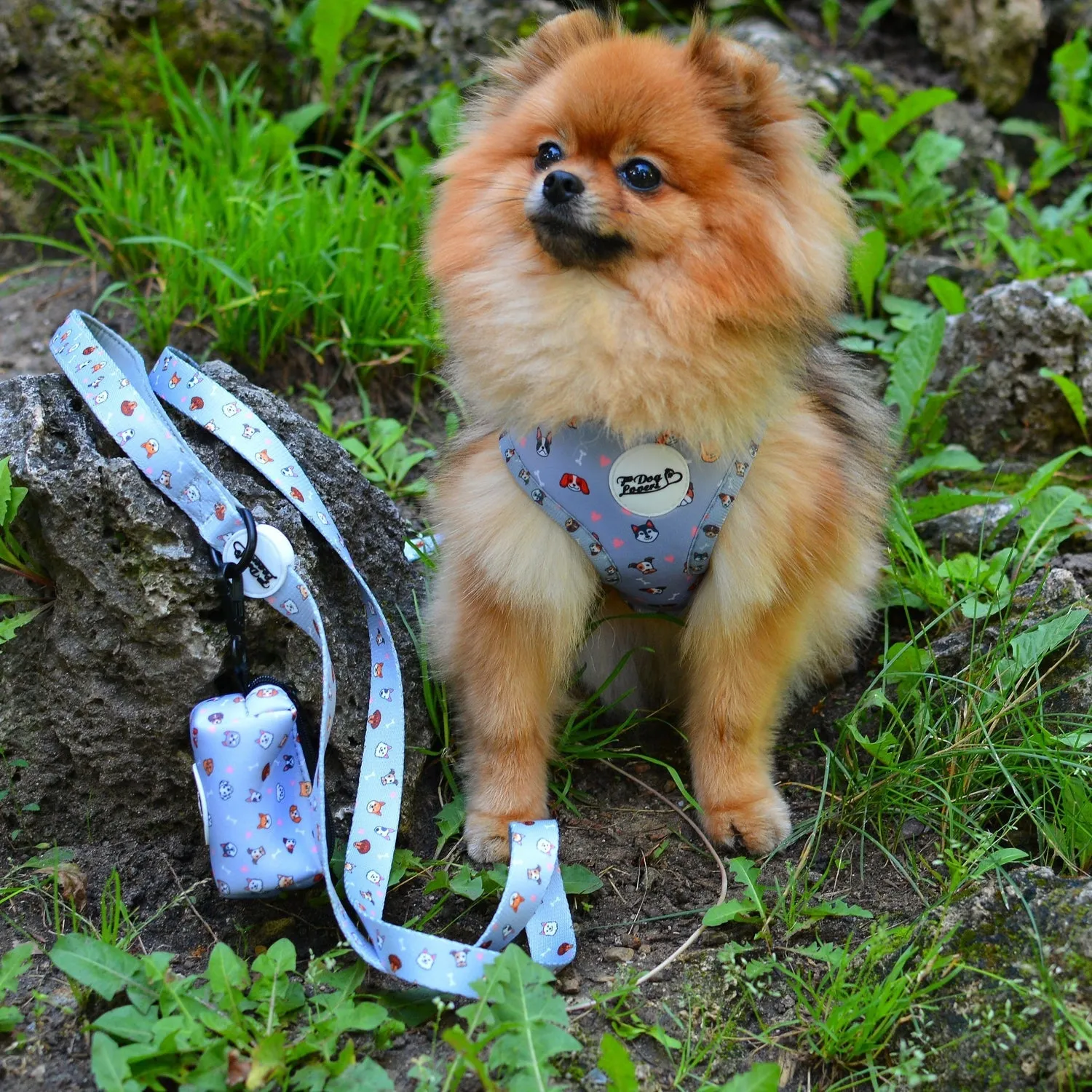 Adjustable Dog Harness Oh My Pup