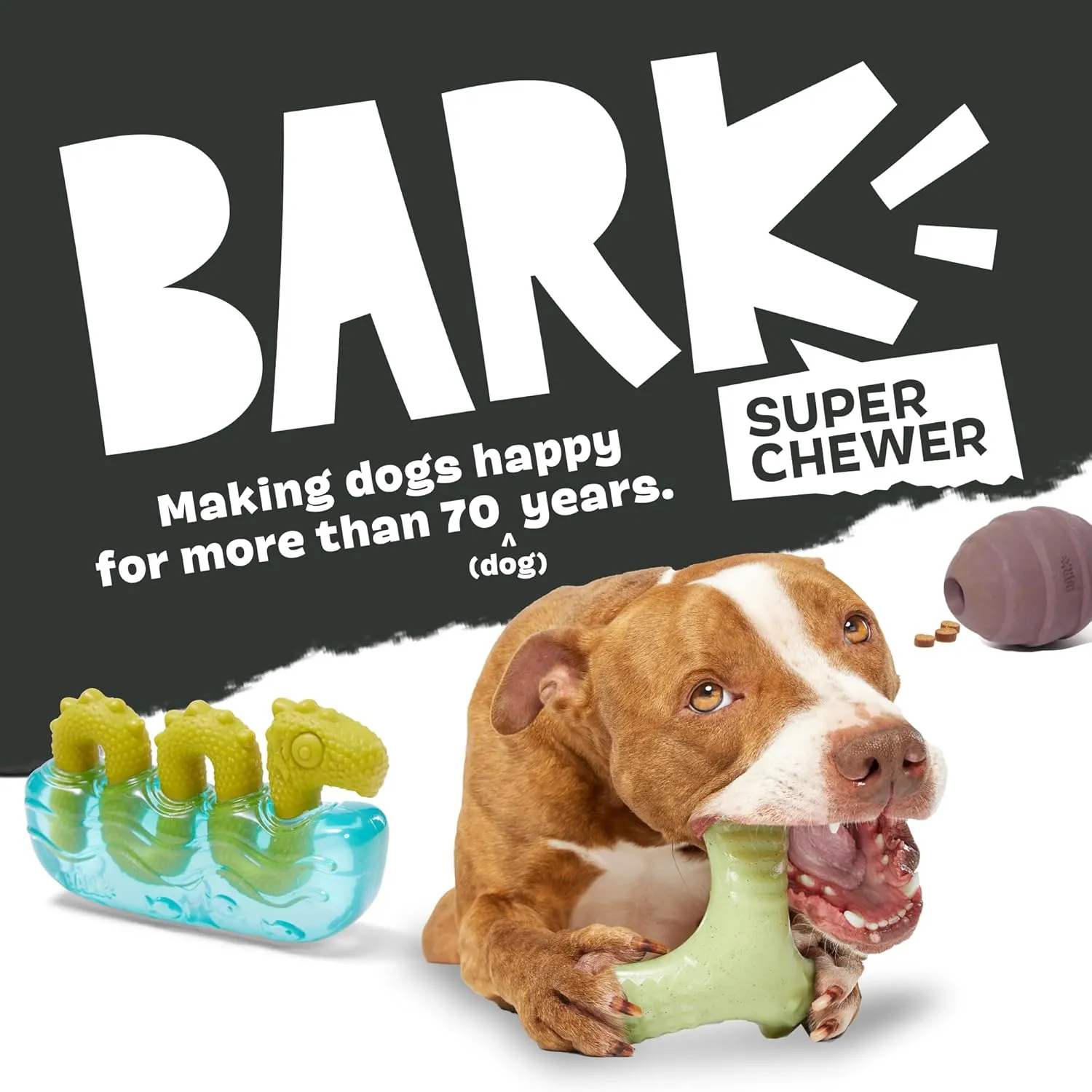 Barkbox Dogness Monster Super Chewer Dog Chew Toy - Tough Dental Stimulating Toy for Aggressive Chewers | Large