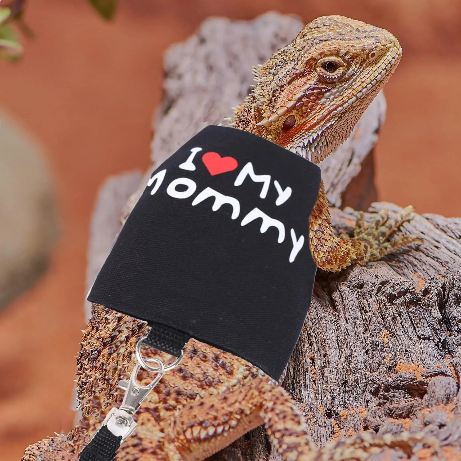 Bearded Dragon Travel Carrier with Security Printing Harness Leash Set,Lizard Carrier Cage,Guinea Pig Carrier for 2,Reptile Travel Carrier for Leopard Gecko Desert Iguana Crested Geckos