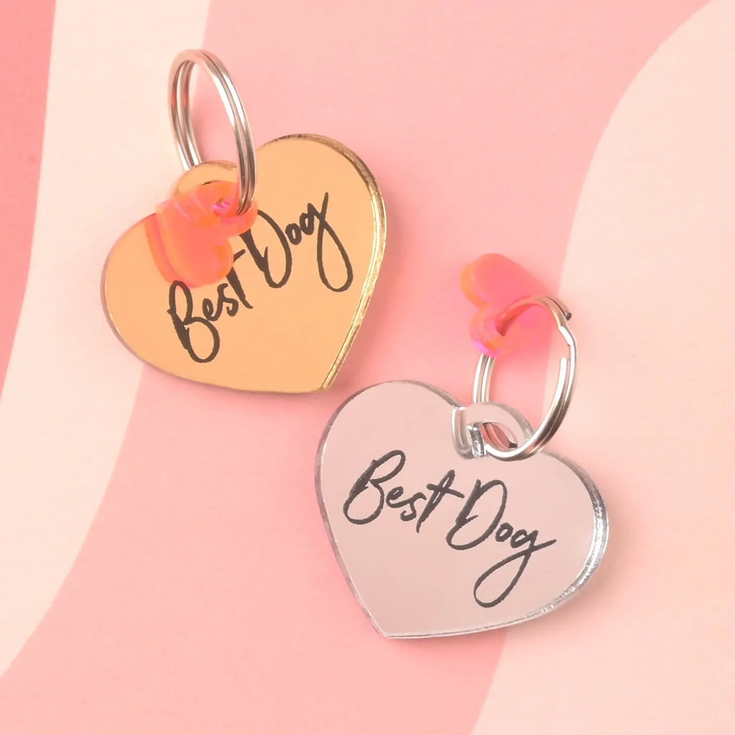 Best Dog Pet Tag, Wedding