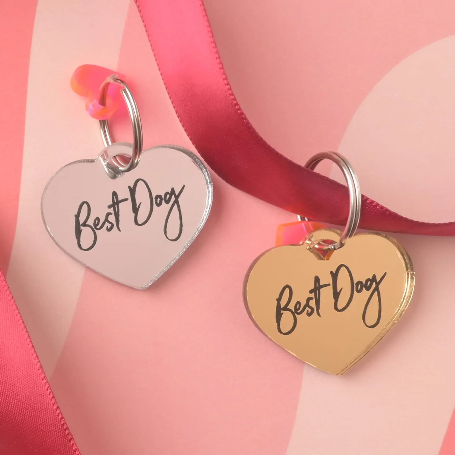 Best Dog Pet Tag, Wedding