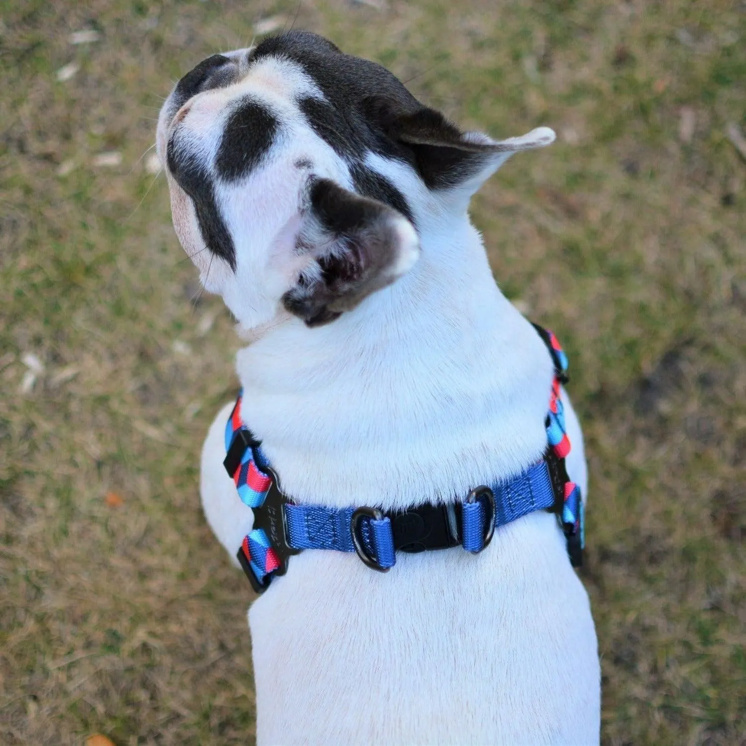 Bond For Love Dog Strap Harness - Dark Rhombus