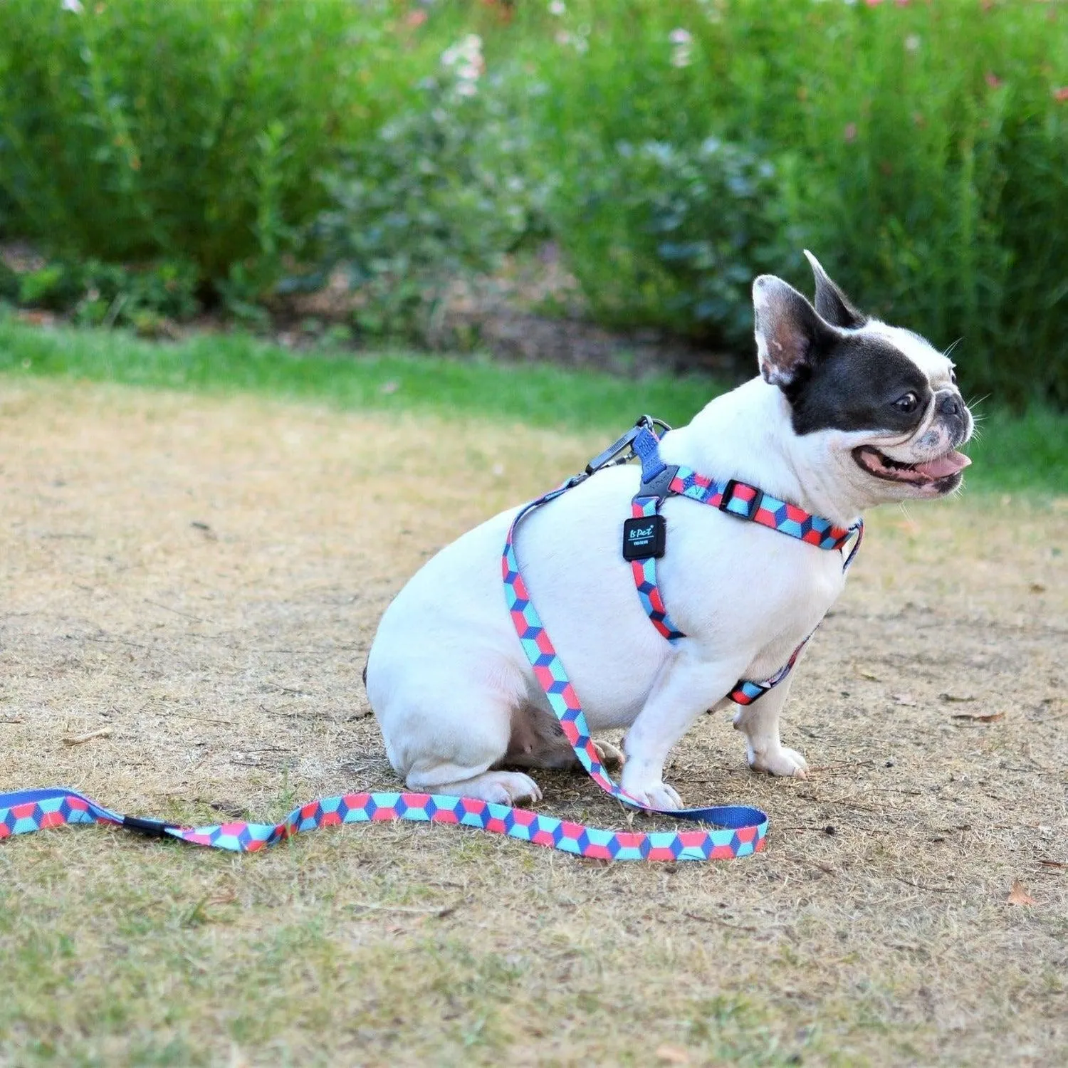 Bond For Love Dog Strap Harness - Dark Rhombus