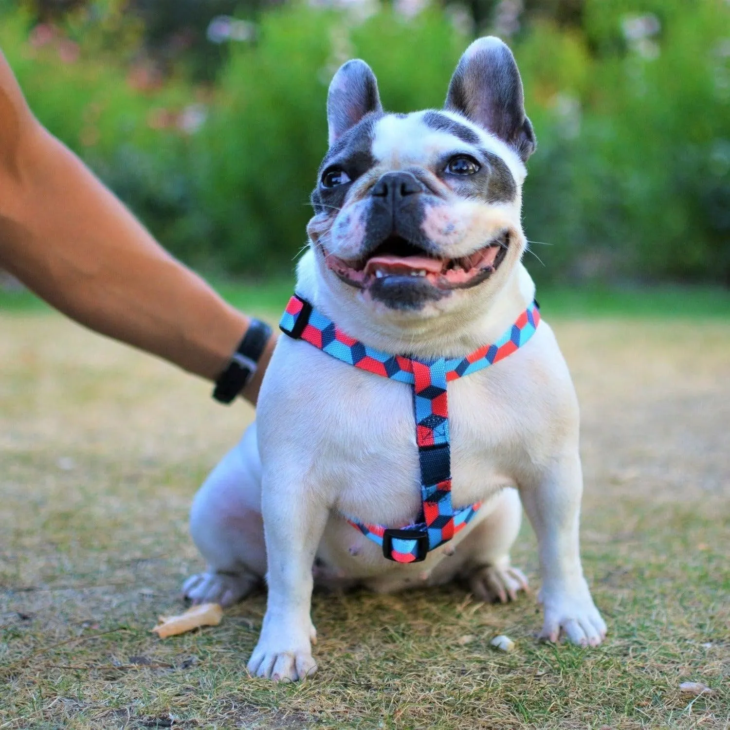 Bond For Love Dog Strap Harness - Dark Rhombus
