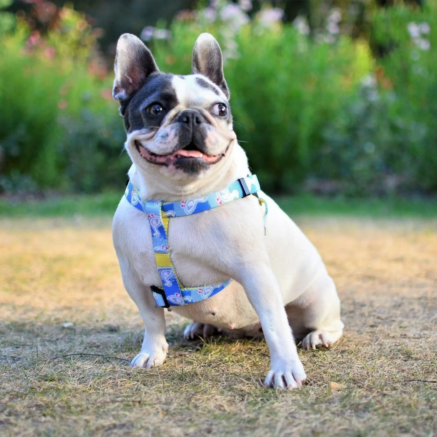 Bond For Love Dog Strap Harness - Goose