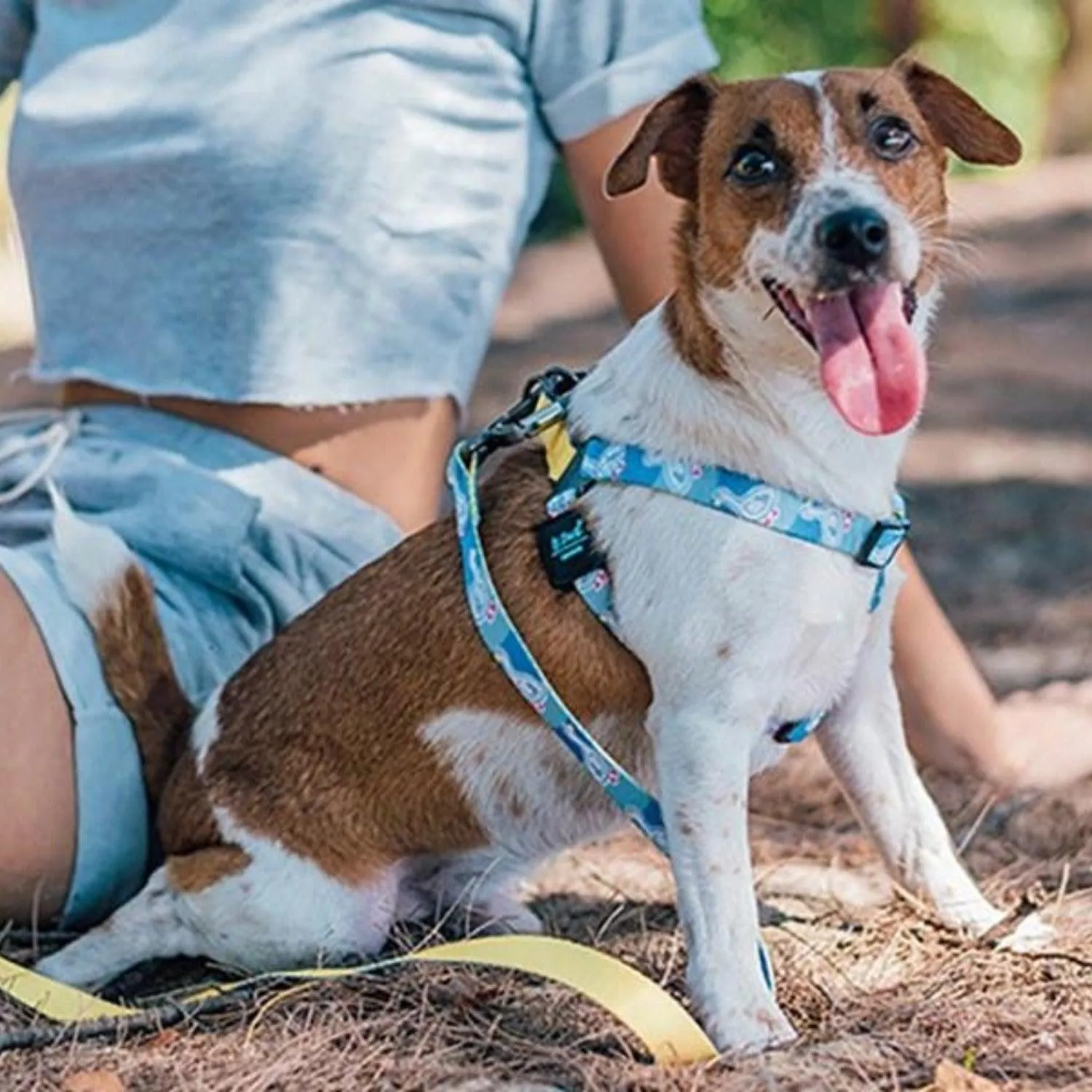 Bond For Love Dog Strap Harness - Goose