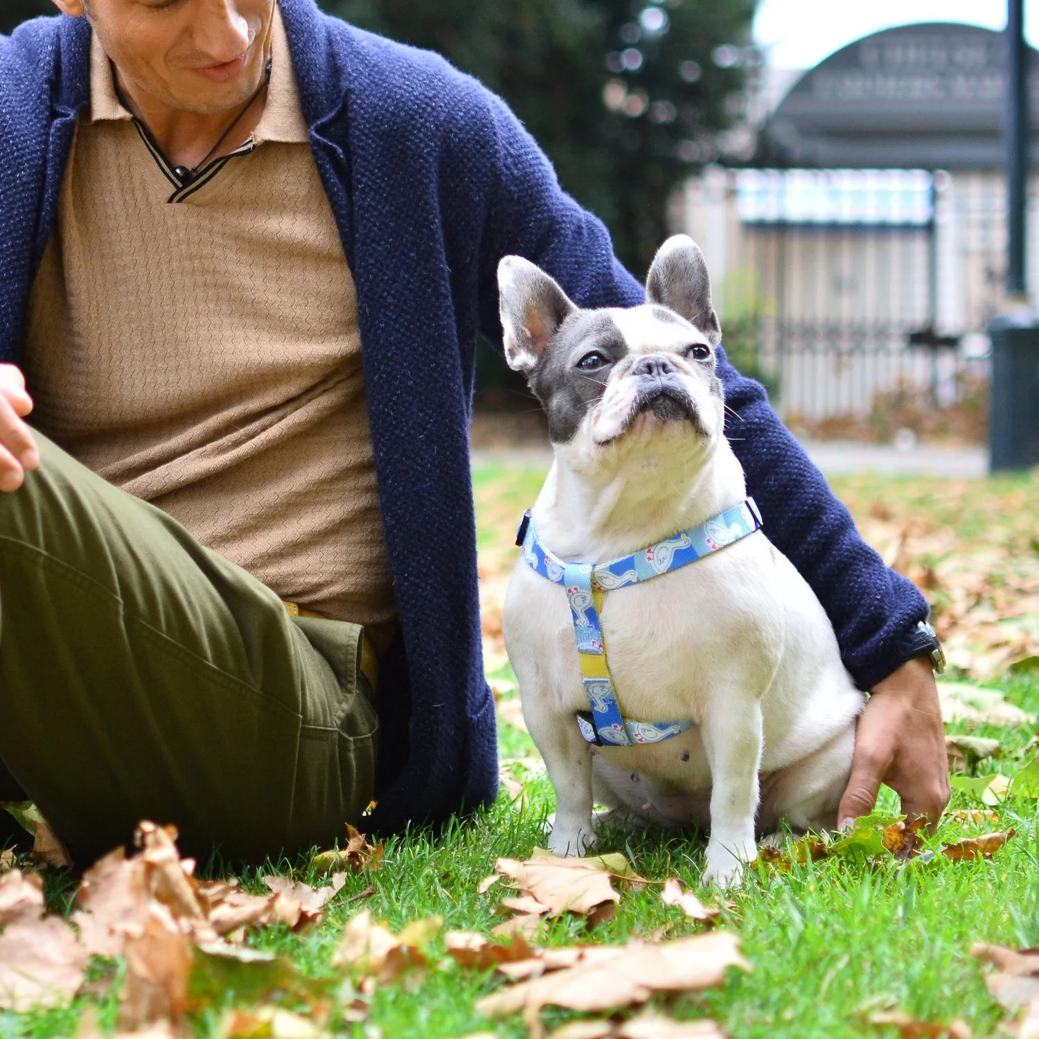 Bond For Love Dog Strap Harness - Goose