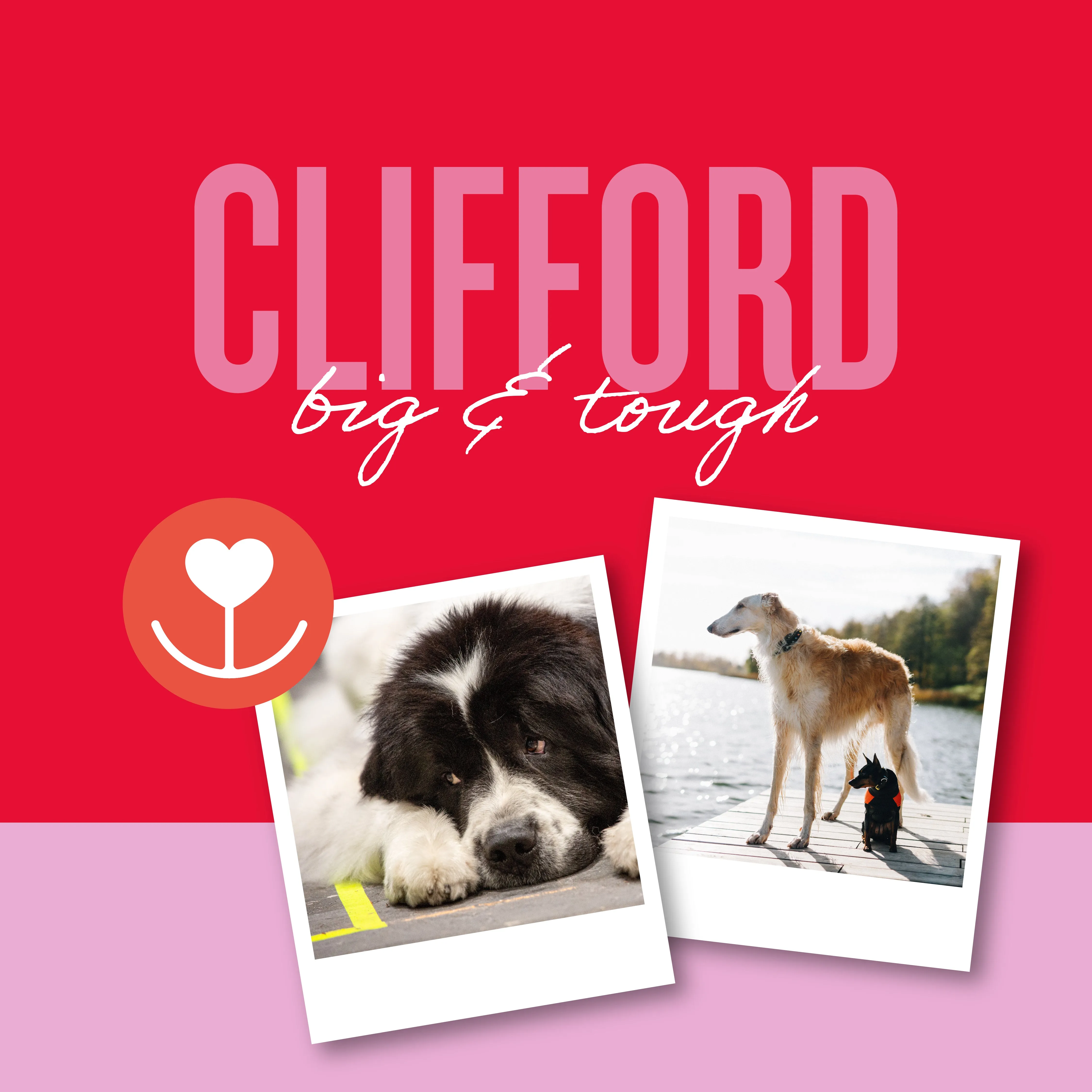 Clifford, Ouija Planchette, Personalized Pet Tag