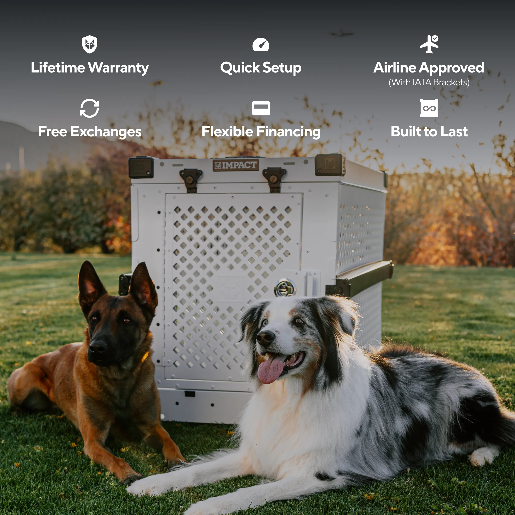 Collapsible Dog Crate V1