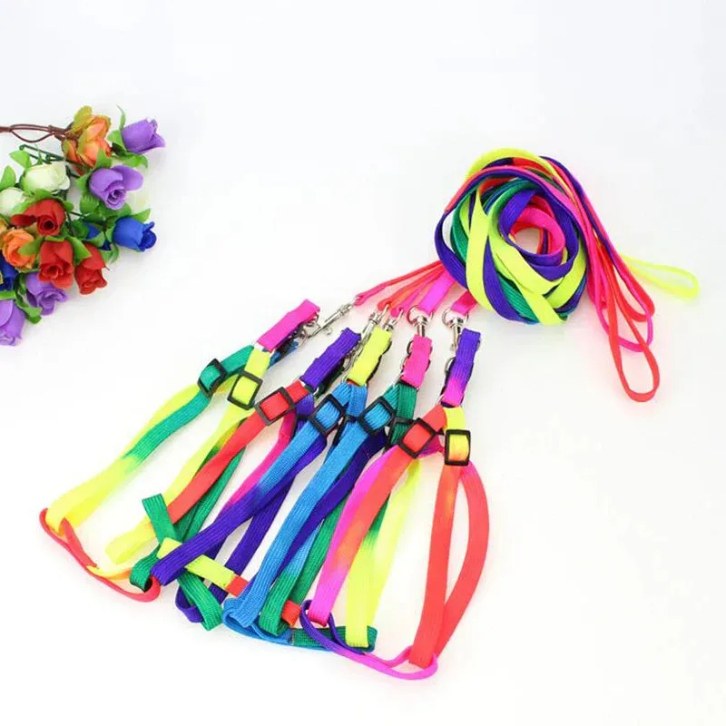 Colorful Rainbow Pet Harness and Leash Set