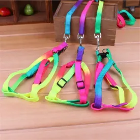 Colorful Rainbow Pet Harness and Leash Set