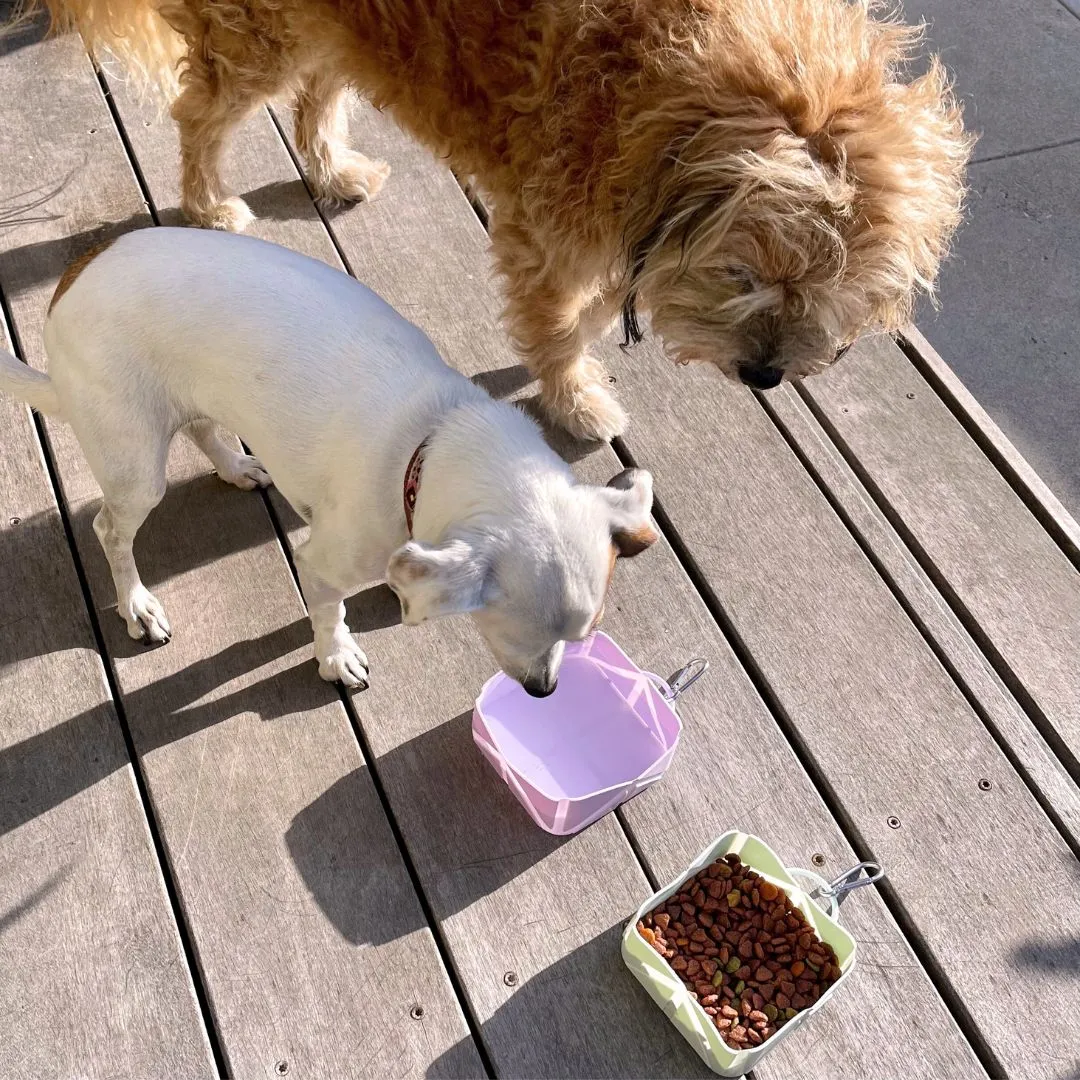 Compact Foldable Pet Food & Water Bowl – Ideal for Travel