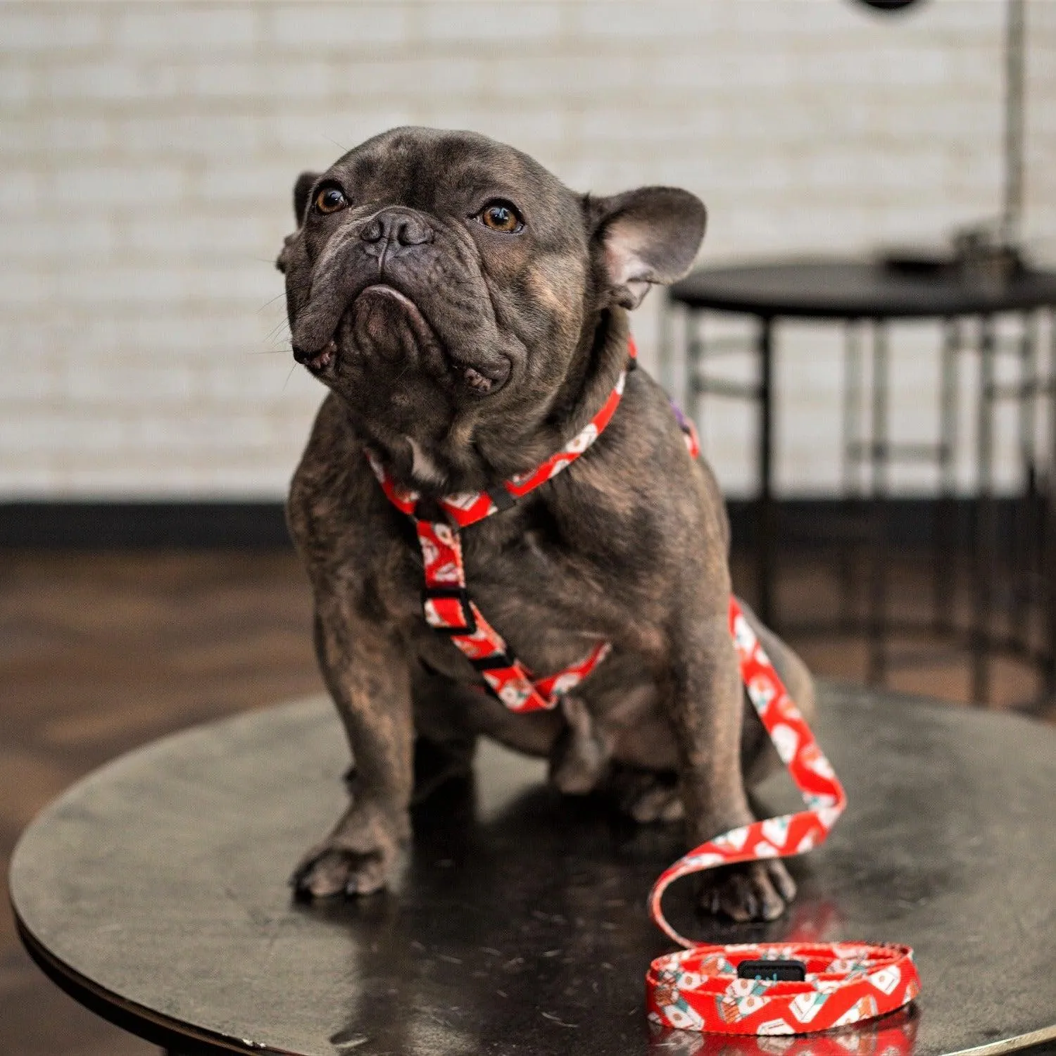 Dog Strap Harness - Tobacco