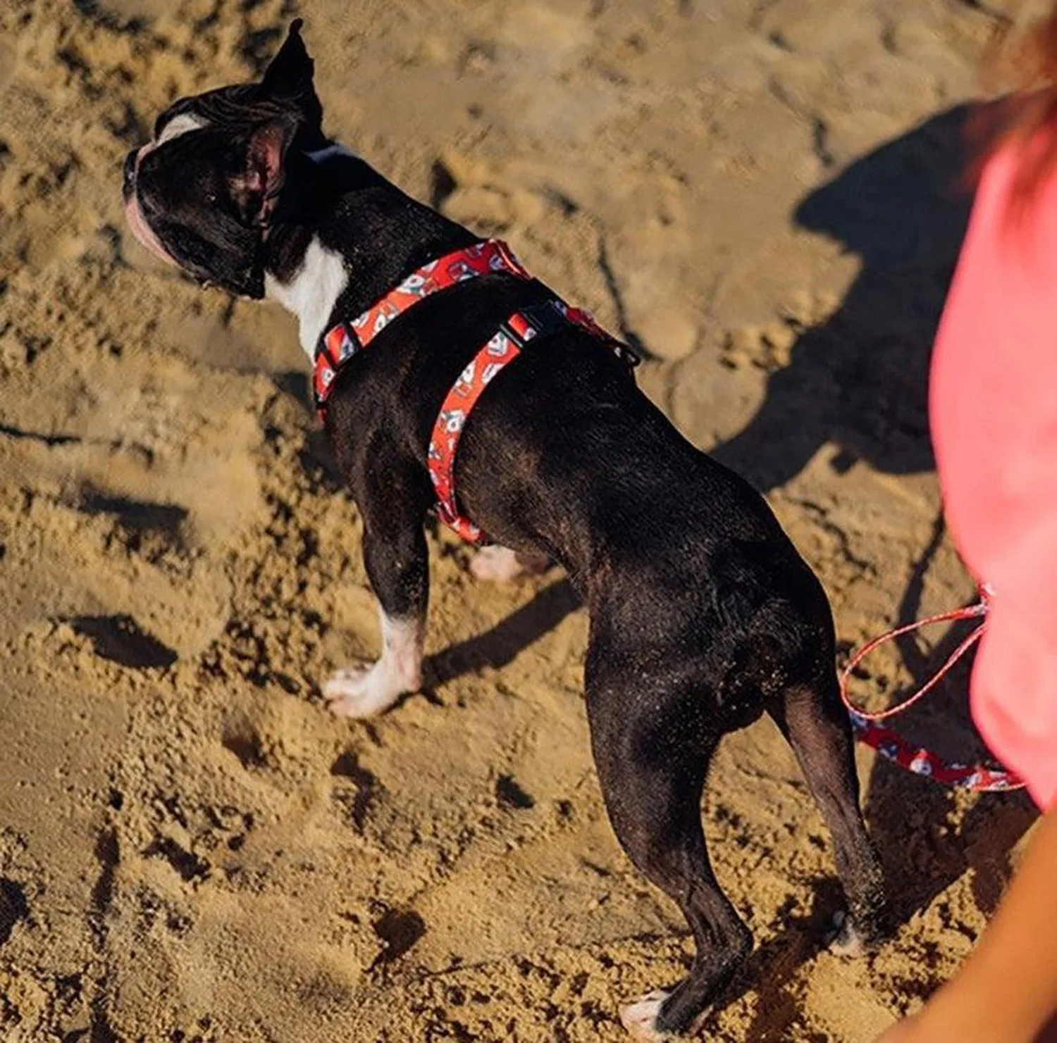 Dog Strap Harness - Tobacco