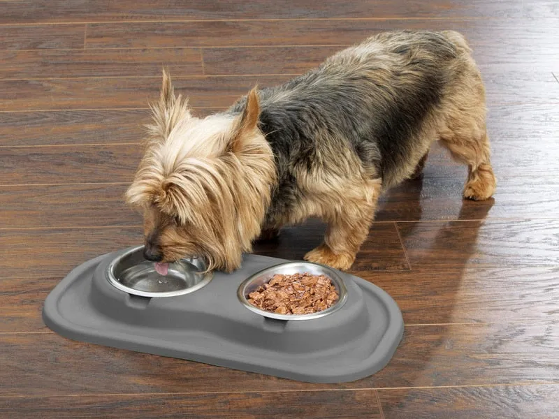 Double Bowl Low Pet Feeding System - WeatherTech