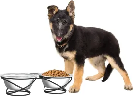 Elevated Dog Bowls - Stainless-Steel 40 OZ Large Food and Water Bowls for Pets with Raised 3.5-Inch-Tall Decorative Stand by ,Silver/Black