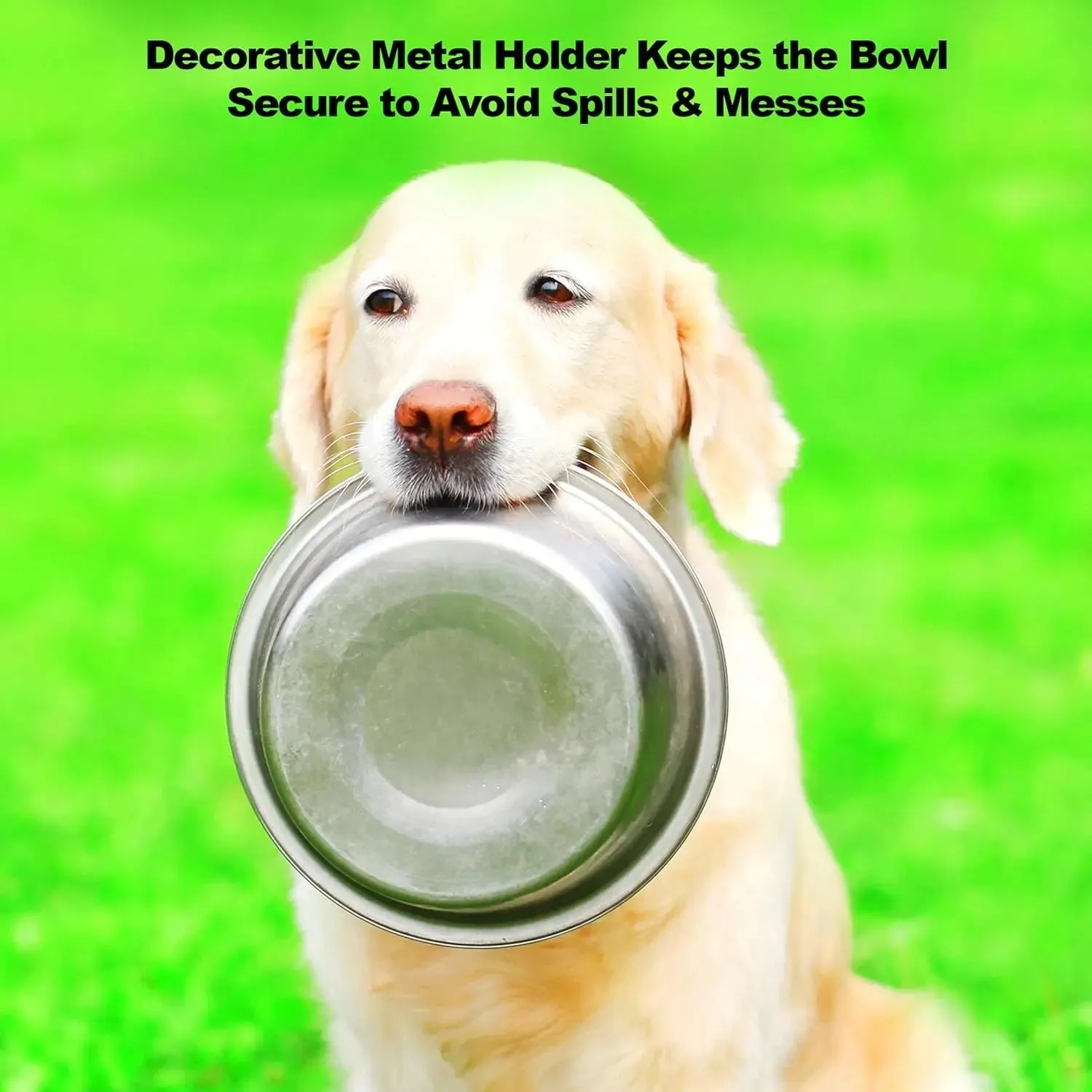 Elevated Dog Bowls - Stainless-Steel 40 OZ Large Food and Water Bowls for Pets with Raised 3.5-Inch-Tall Decorative Stand by ,Silver/Black
