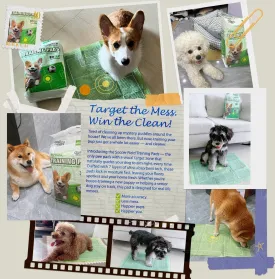 Football Field Potty Training Pads for Dogs  Fun Visual Guide for Better Accuracy, Leak-Proof (Bullseye Induction-Four-Corner Stickers,M: 18 * 24 in,1)