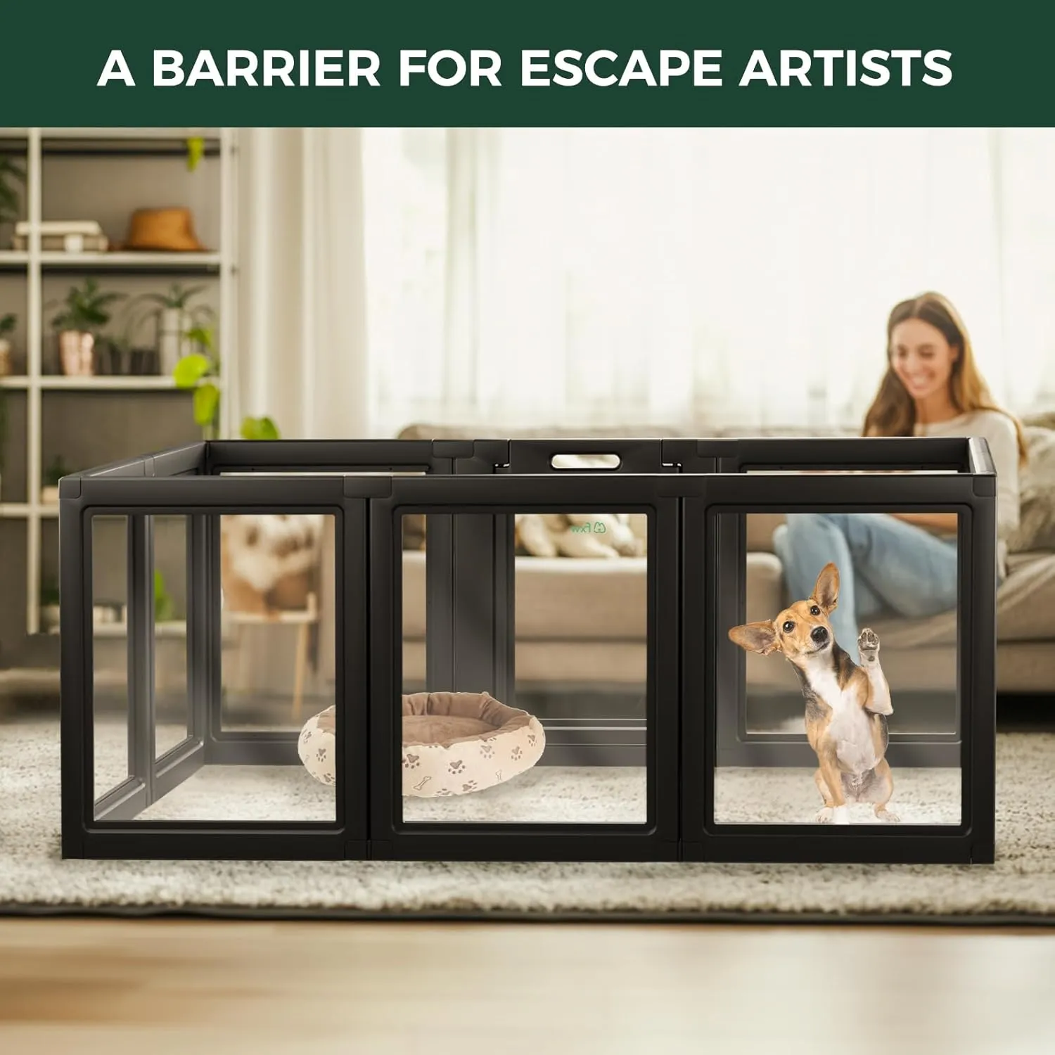 FXW AuraSpace Acrylic Indoor Dog Playpen for Puppies and Small Dogs, 24 Inch, 10 Panels, Black
