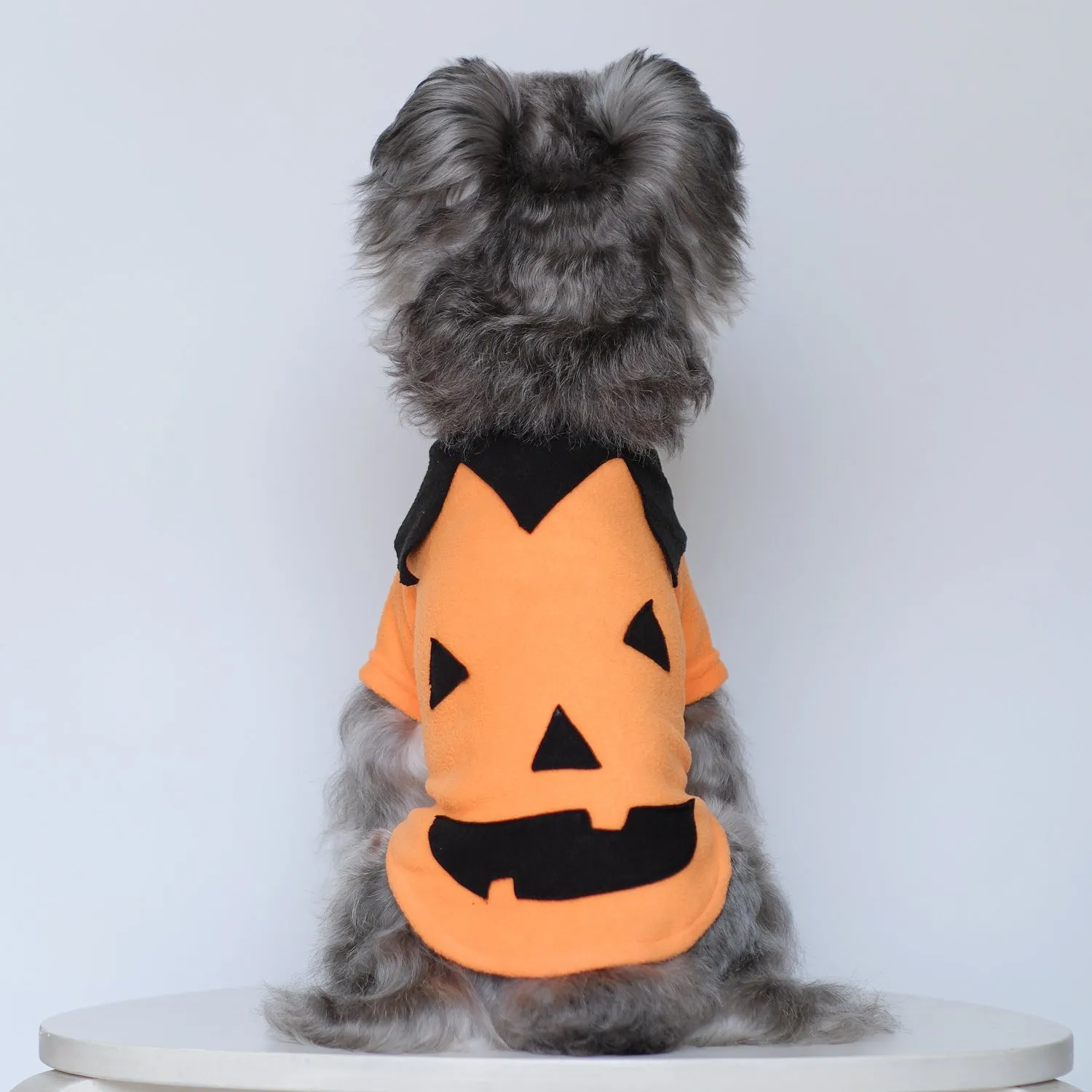 Halloween Pumpkin Costume Pet Clothes | Funny Transformation Dog & Cat Clothing | Small Dog Autumn Outfit | Teddy