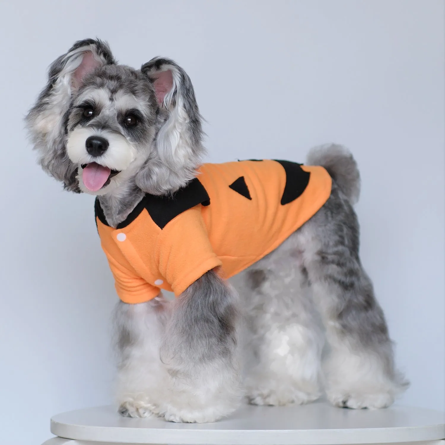 Halloween Pumpkin Costume Pet Clothes | Funny Transformation Dog & Cat Clothing | Small Dog Autumn Outfit | Teddy