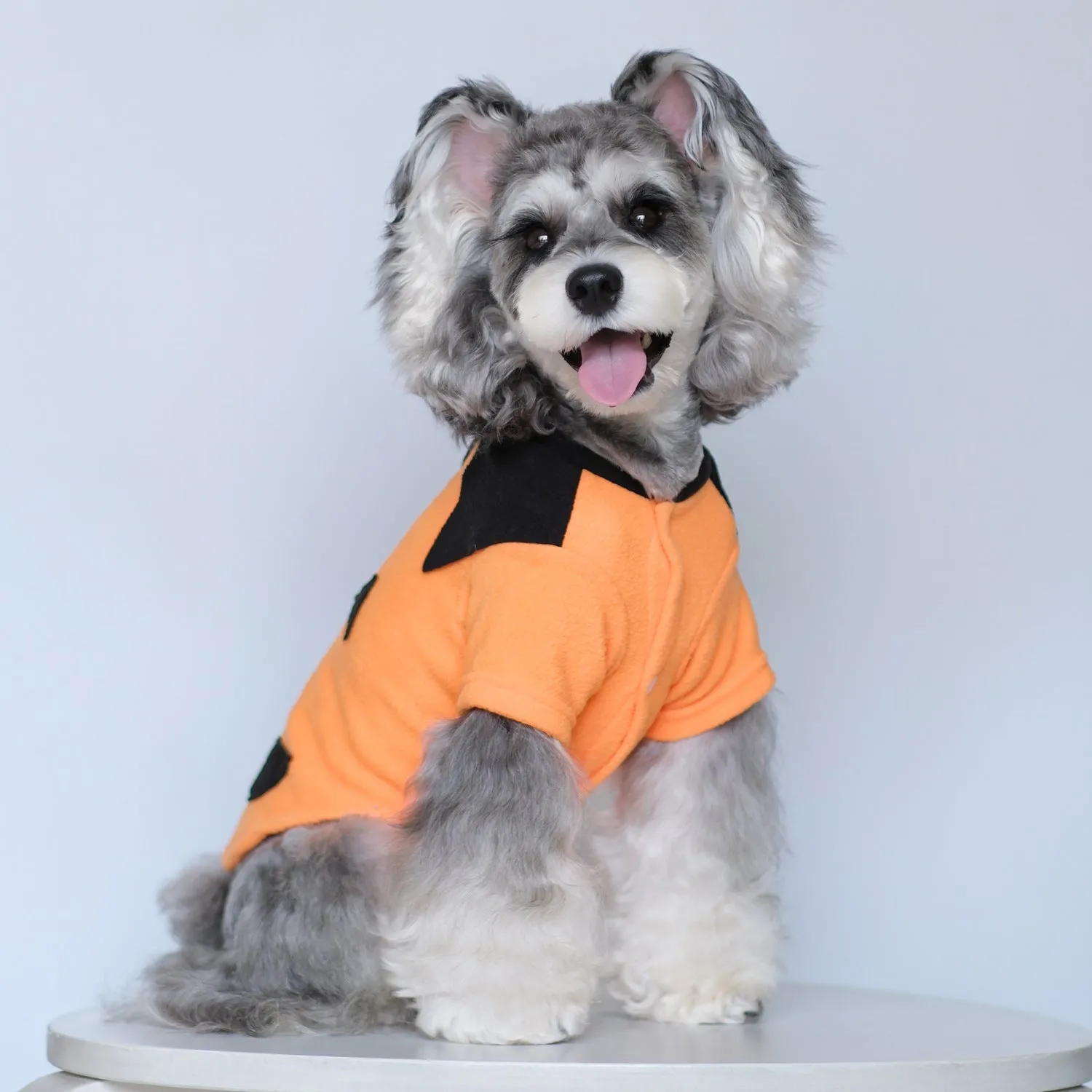 Halloween Pumpkin Costume Pet Clothes | Funny Transformation Dog & Cat Clothing | Small Dog Autumn Outfit | Teddy