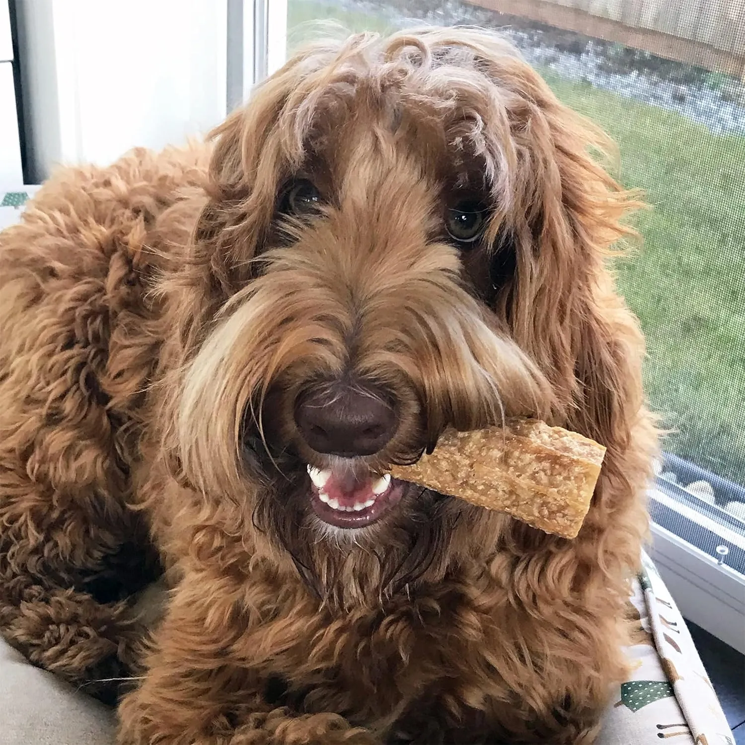 Happy Teeth Natural Cheese Dog Chews | Peanut Butter Flavor | Dental Chew | Protein Rich | Gluten Free - Lactose Free - Wheat Free - Soy Free | 2 Happy Teeth Chews per Resealable Pouch