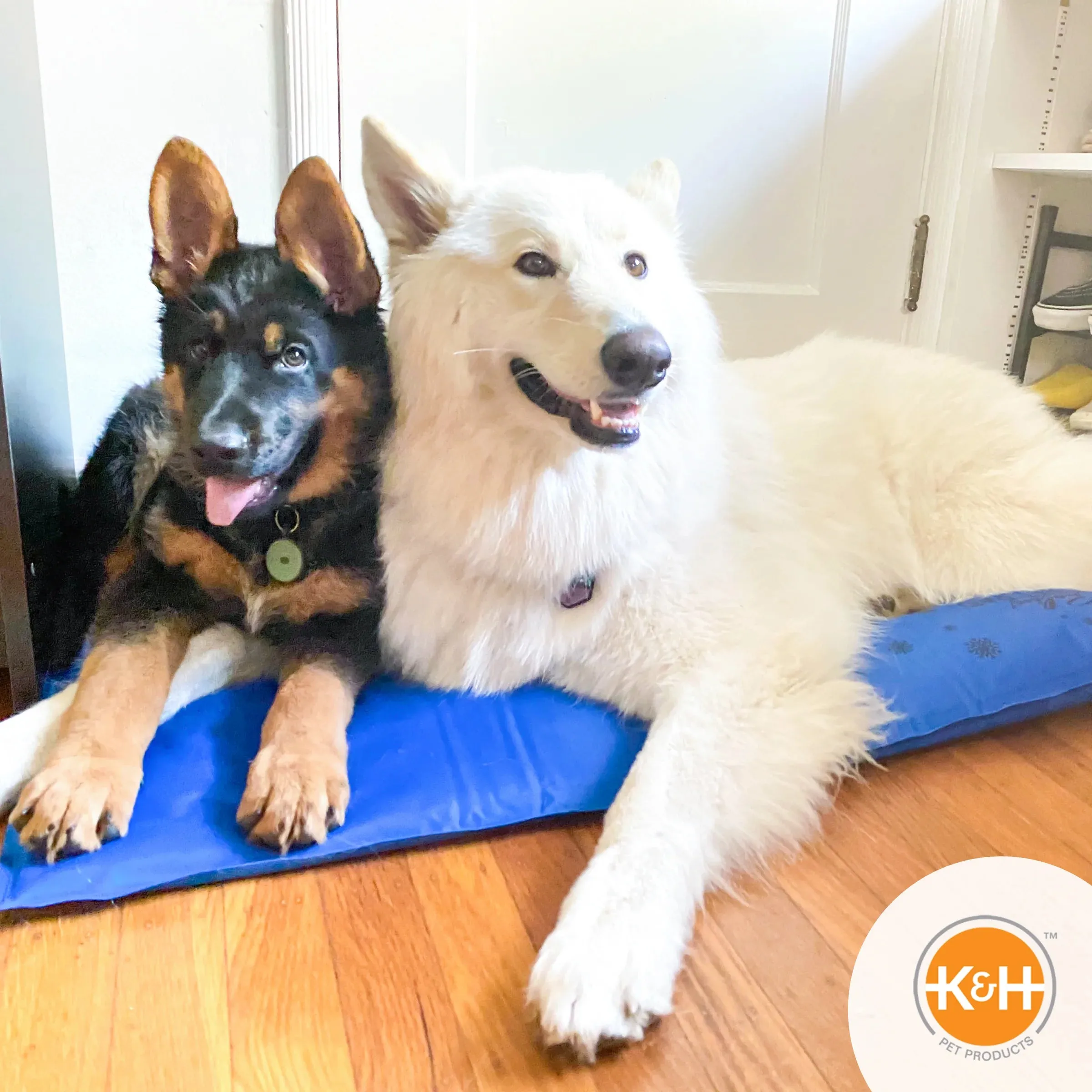 K&H Cooling Pad