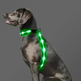 Light Up Dog Vest Harness Rechargeable, Adjustable & Reflective LED Lighted Dog Harness, Glow Dark Dog Light Harness for Night Safety Walking, Large Green