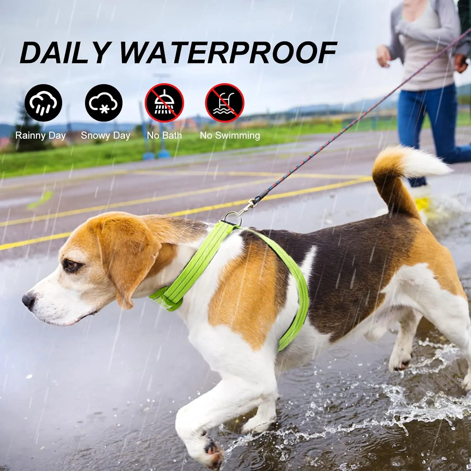 Light Up Dog Vest Harness Rechargeable, Adjustable & Reflective LED Lighted Dog Harness, Glow Dark Dog Light Harness for Night Safety Walking, Large Green