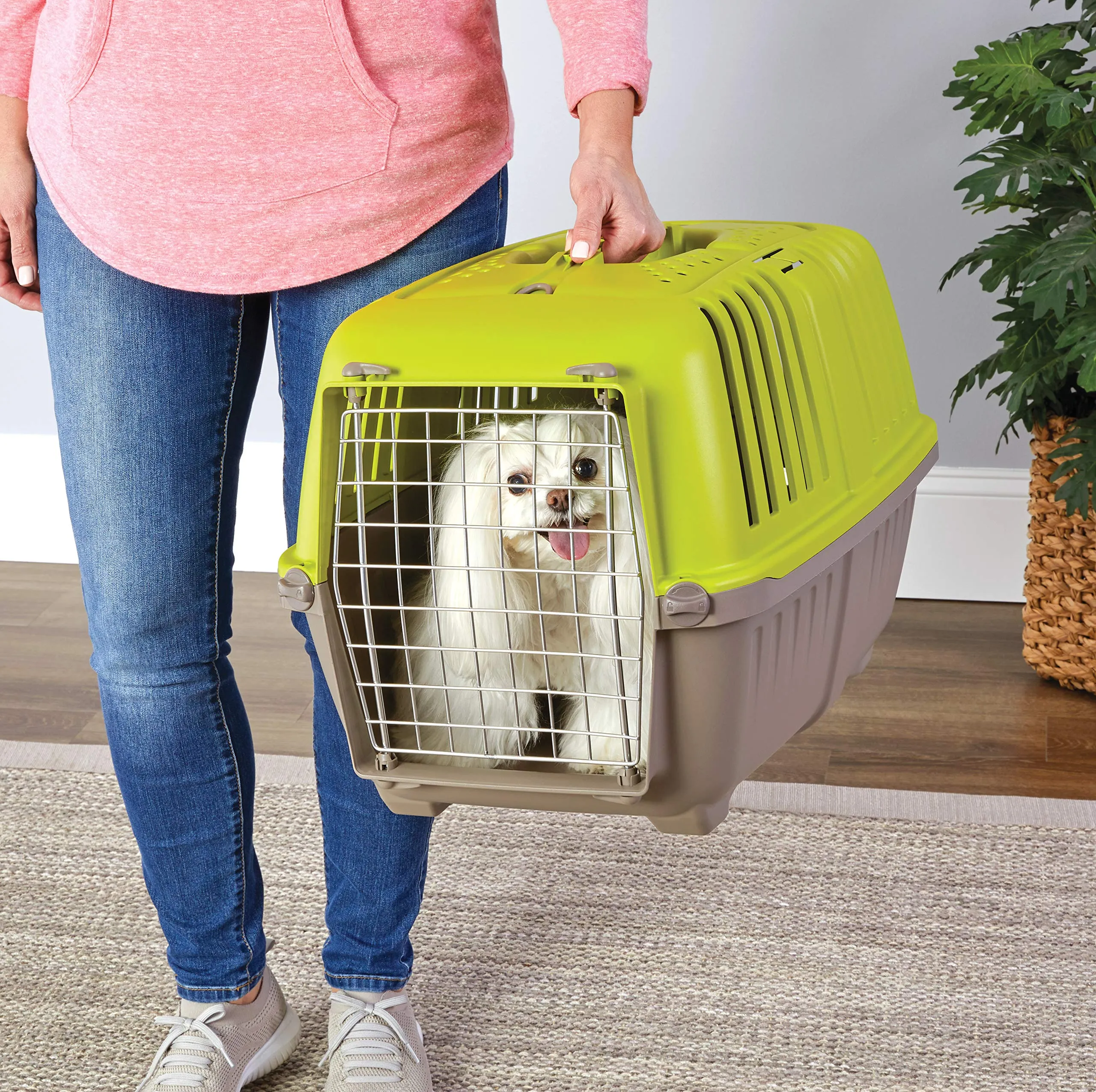 Midwest Spree Hard-Sided Travel Cat and Dog Kennel Carrier - Green - 24" X 15.5" X 15" Inches