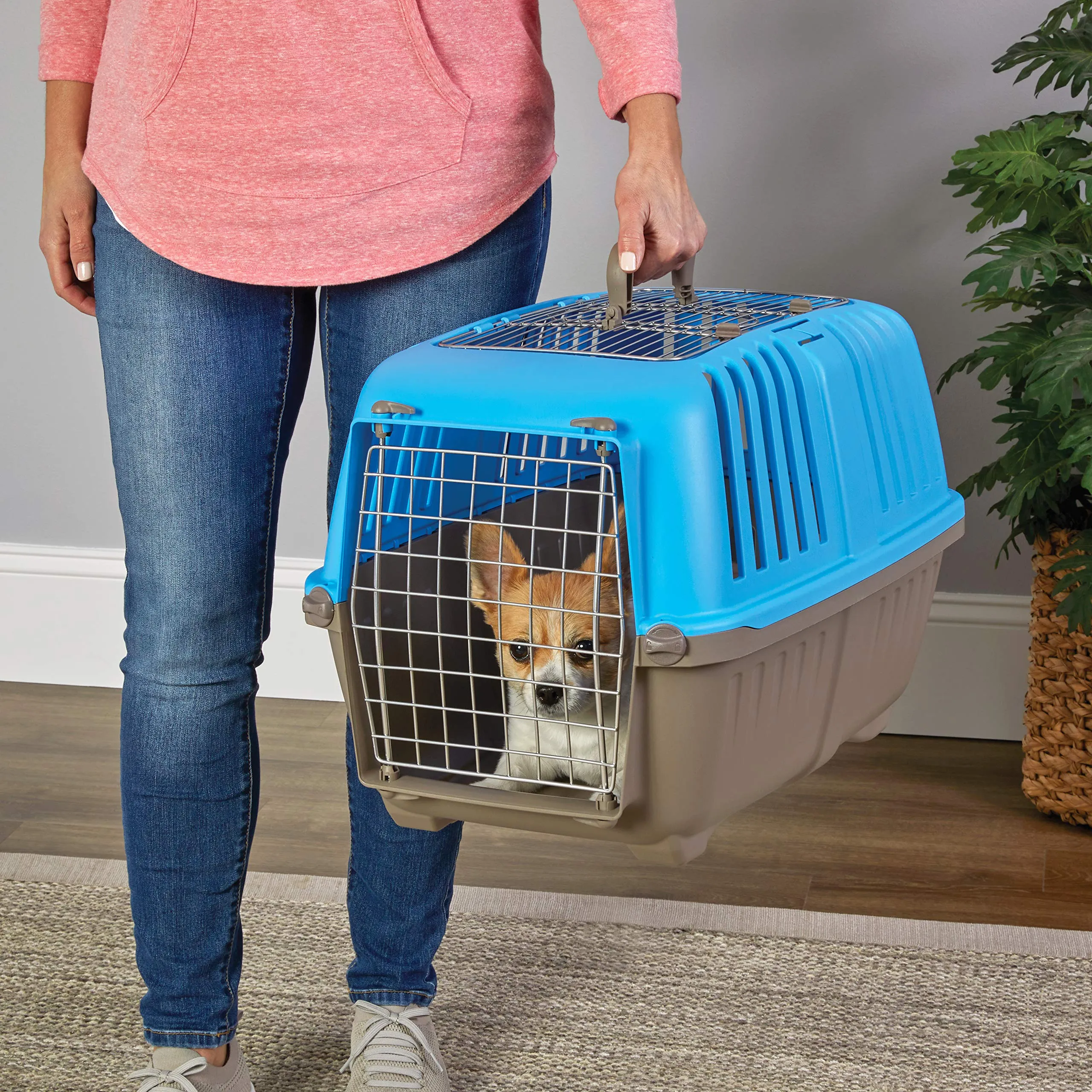 Midwest Spree Top Loading Double Door Travel Dog Kennel Carrier - Blue - 24" X 15.5" X 15" Inches