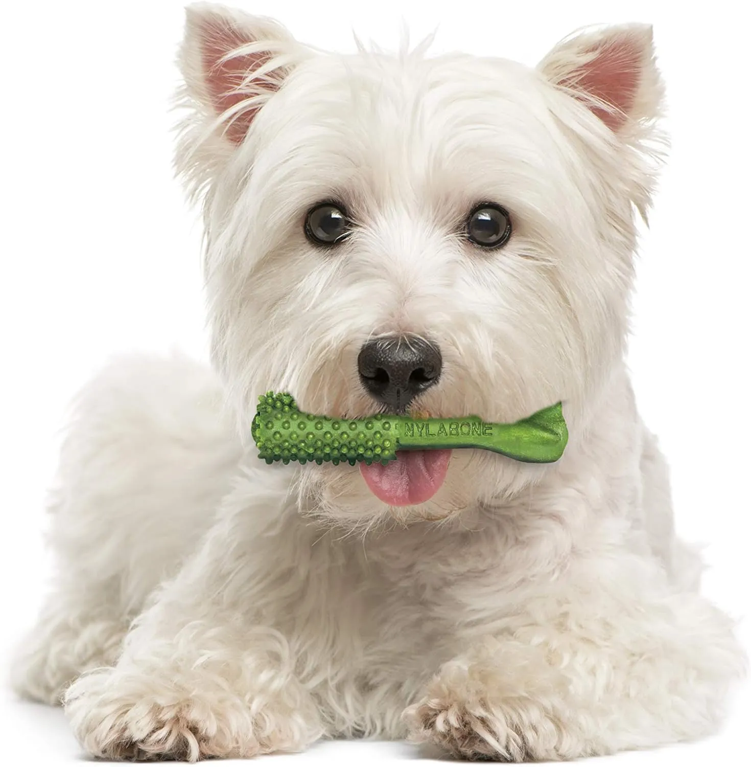 Nylabone Nutri Dent Dog Dental Chews - Natural Dog Teeth Cleaning & Breath Freshener - Dental Treats for Dogs - Fresh Breath Flavor, Small (28 Count)