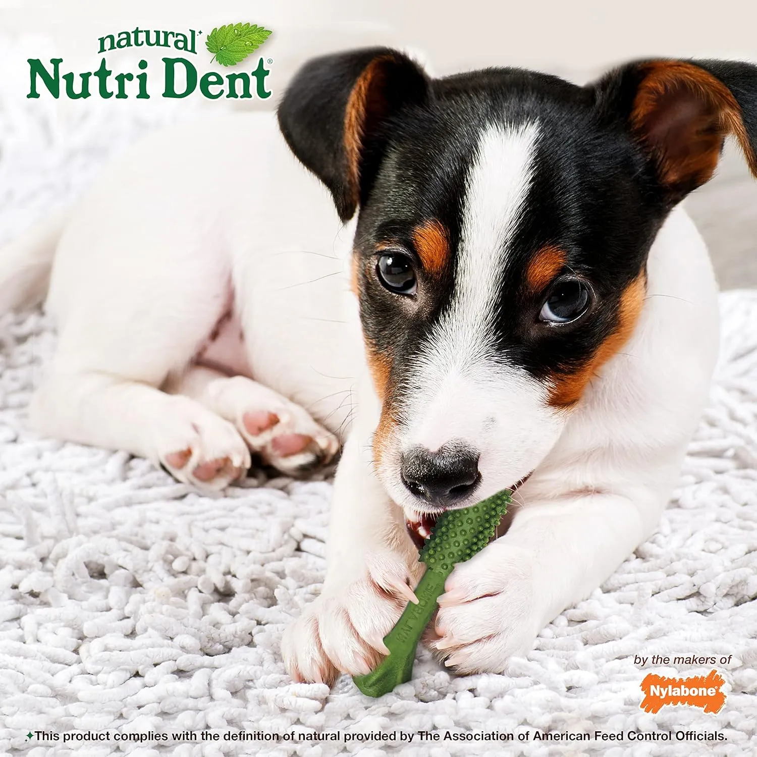 Nylabone Nutri Dent Dog Dental Chews - Natural Dog Teeth Cleaning & Breath Freshener - Dental Treats for Dogs - Fresh Breath Flavor, Small (28 Count)