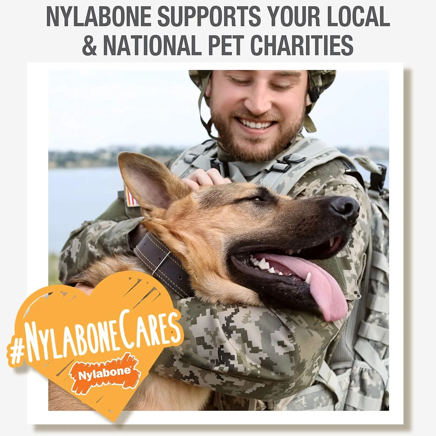 Nylabone Nutri Dent Dog Dental Chews - Natural Dog Teeth Cleaning & Breath Freshener - Dental Treats for Dogs - Fresh Breath Flavor, Small (28 Count)