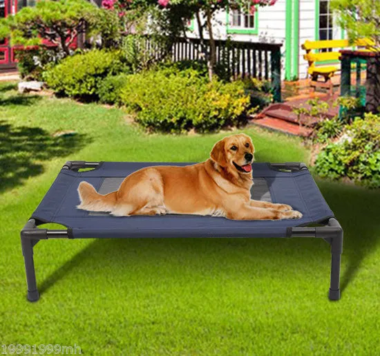 Overly Comfortable Elevated Dog Bed