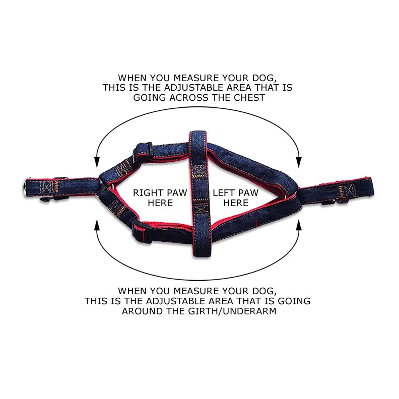 Pet Dog Denim Harness and Leash Set