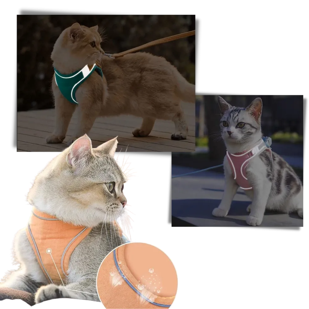 Pet Harness and Leash Set