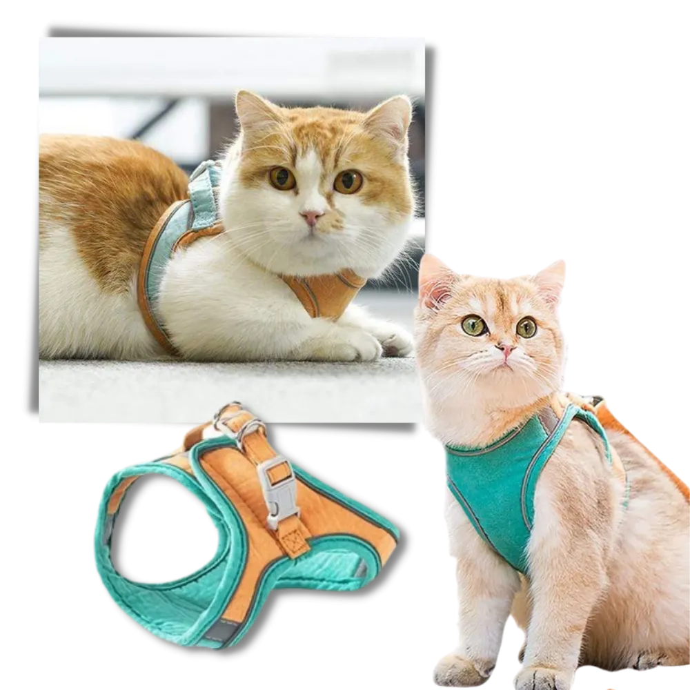 Pet Harness and Leash Set