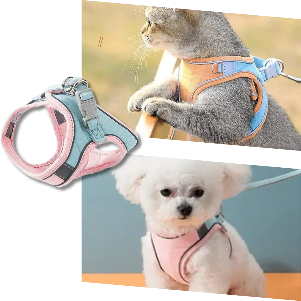 Pet Harness and Leash Set