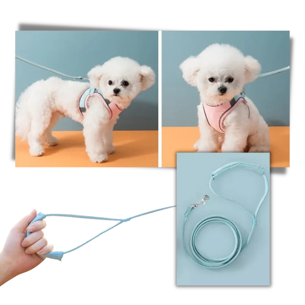 Pet Harness and Leash Set