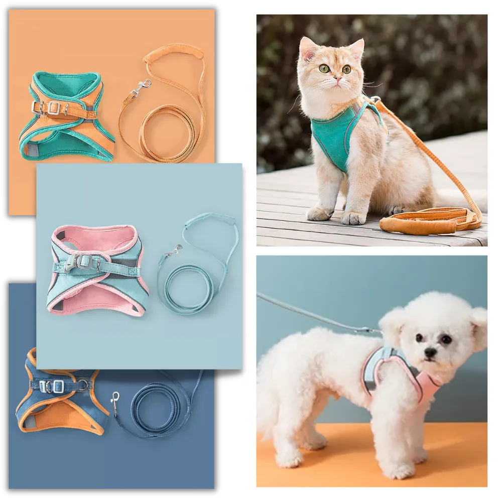 Pet Harness and Leash Set
