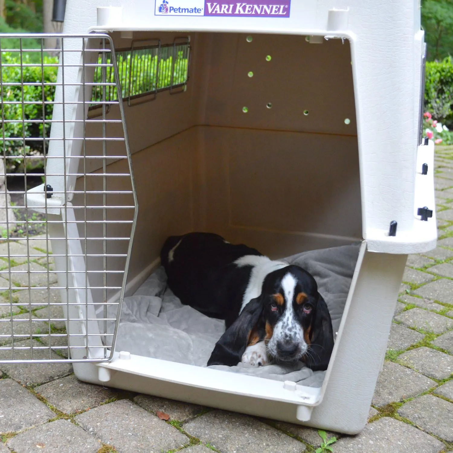 PetFusion  | ;2 (;)| 