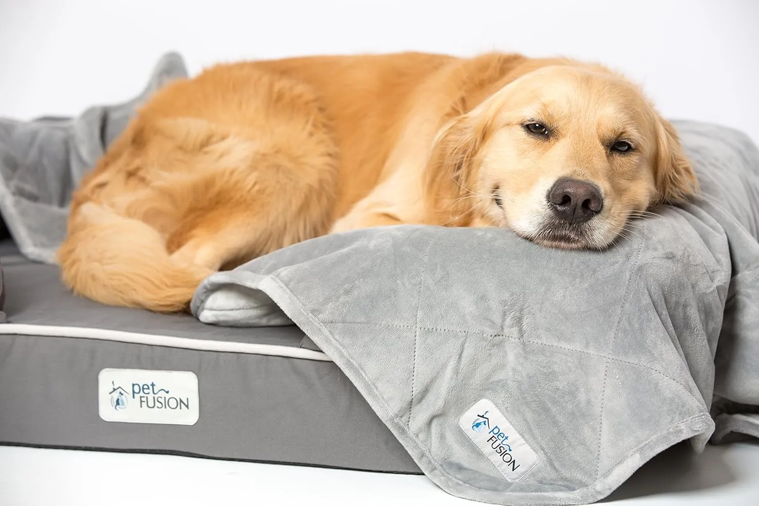 PetFusion  | ;2 (;)| 