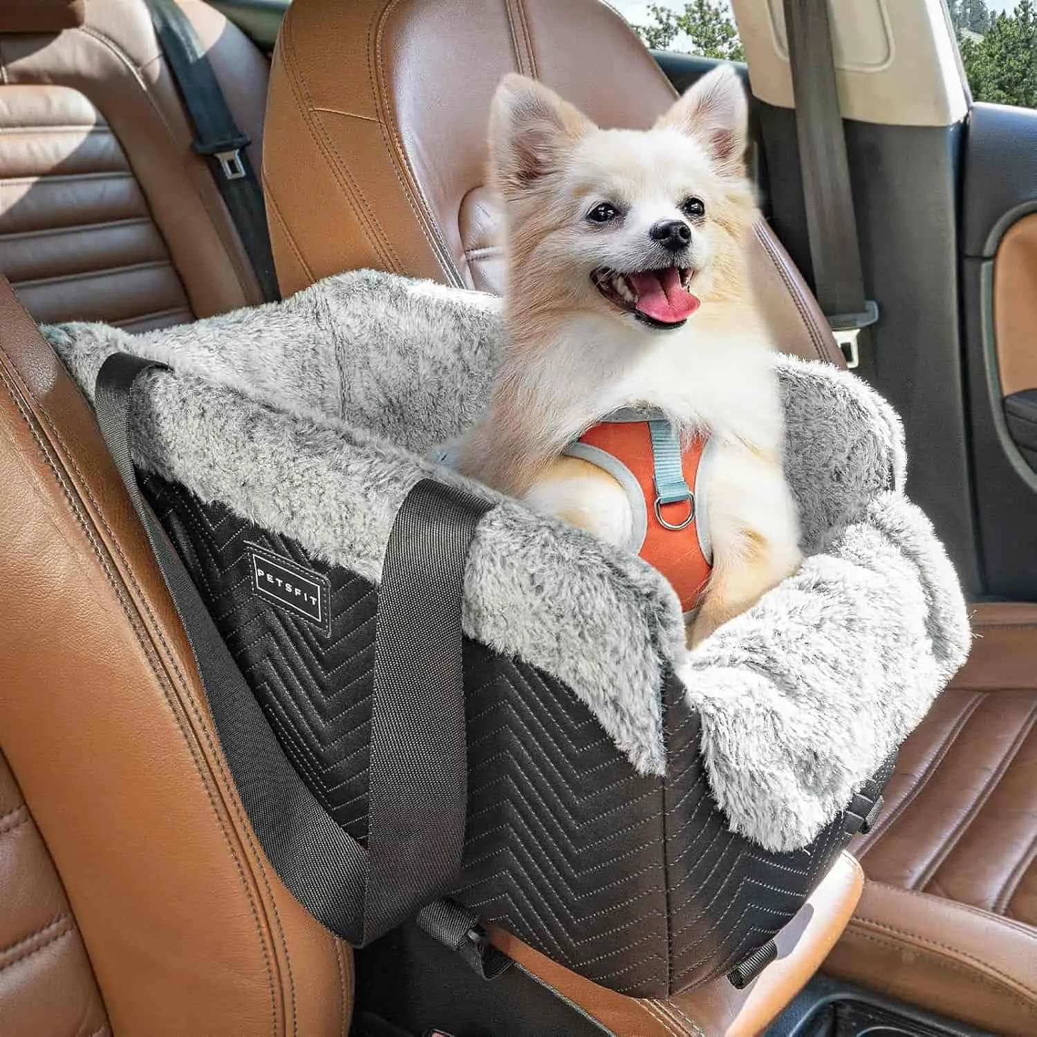 PETSFIT Center Console Dog Car Seat