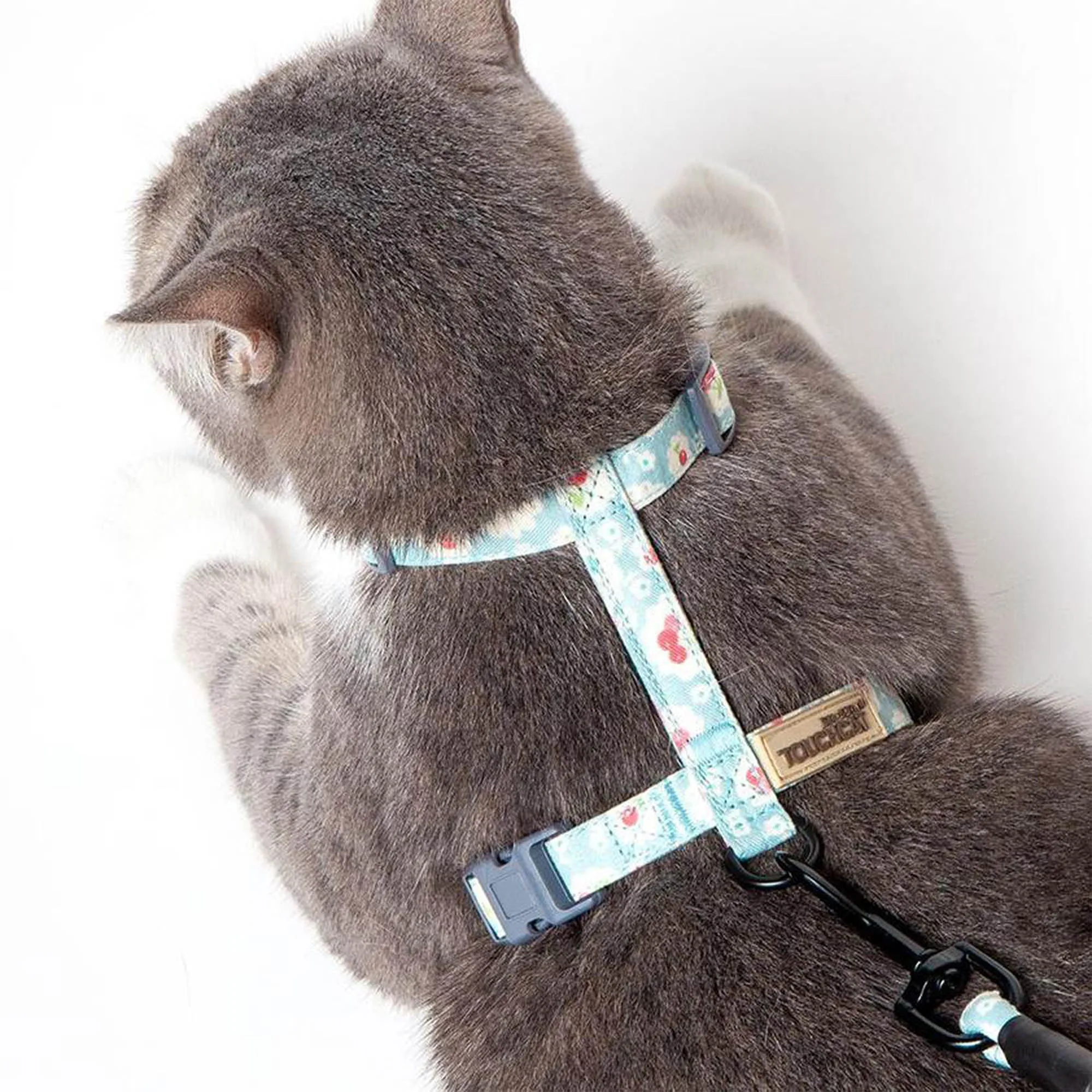 Radi-Claw Cat Harness & Leash Set