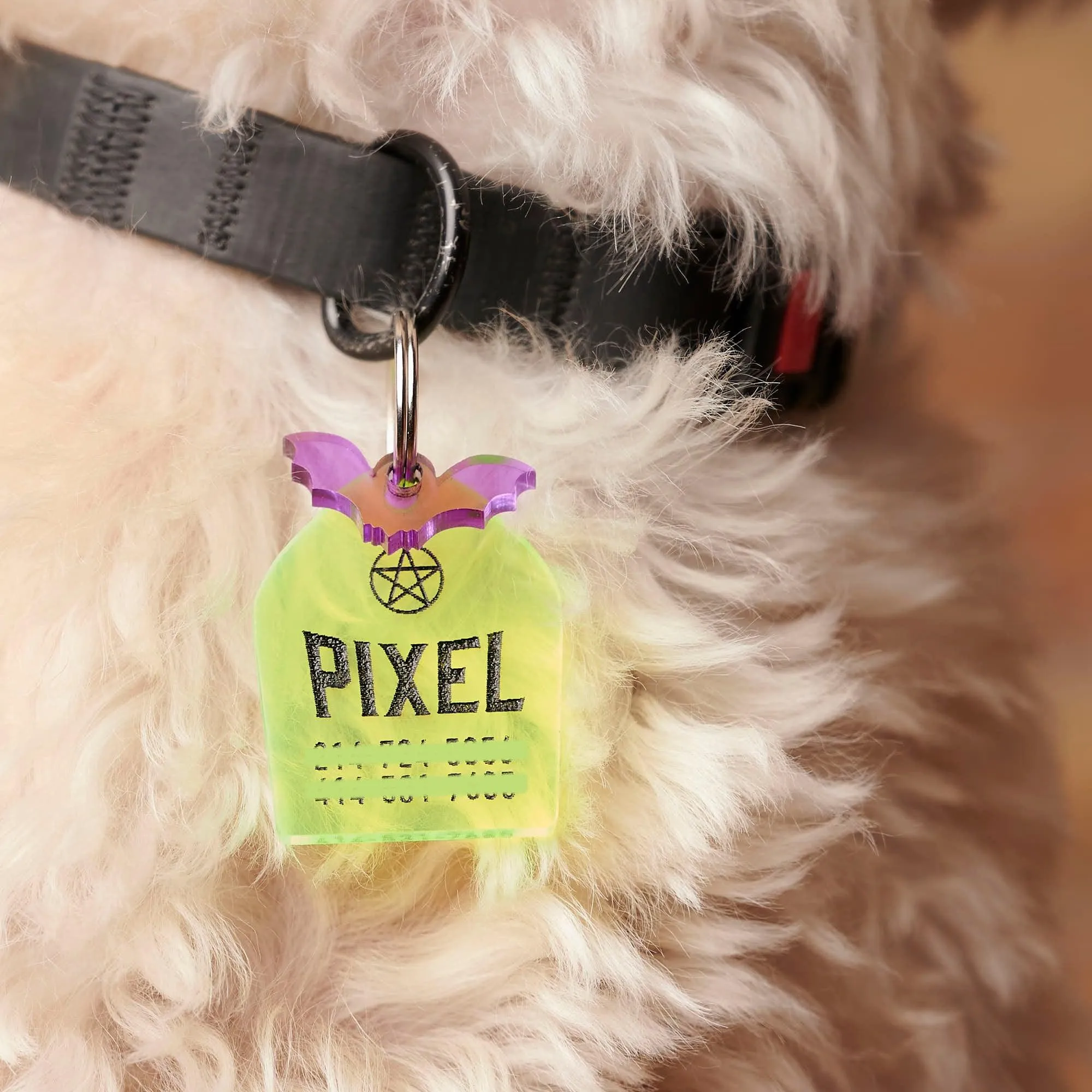Striking Pentagram, Coffin Shape Personalized Pet Tag
